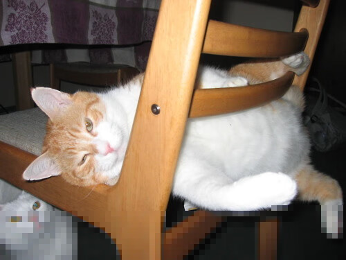 无声的战争，哈利伯顿用湖人之战为世界排名正名