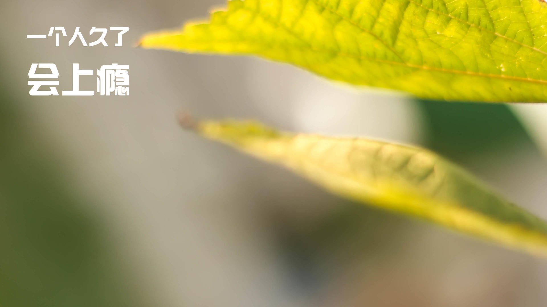 统治与微小差距,当穆勒的史诗之夜遇上法国队的现实加时