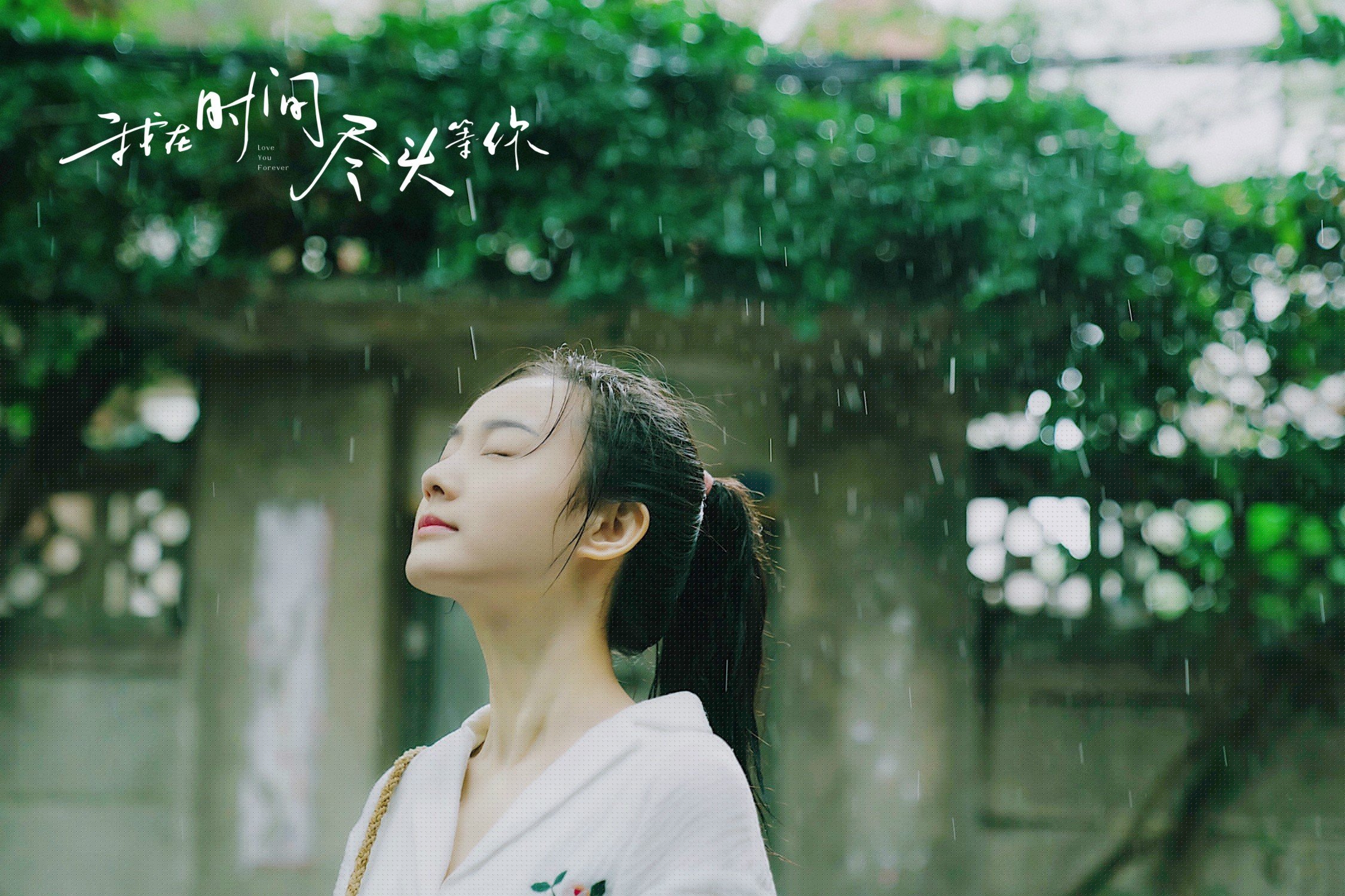 贝恩的镜像之战，在明尼苏达看见杭州的自己