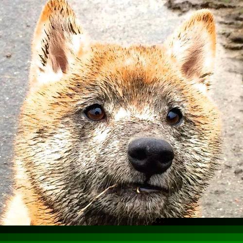 星光与利刃,巴黎过关心脏中,加维铸就的完美攻防交响