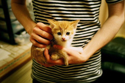 钢铁森林困孤岛,曼城窒息式封锁战术下的金玟哉困局