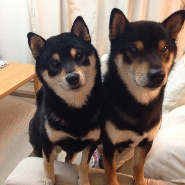 破红黑,克桑巴,梅西硬仗之王的双重铁证