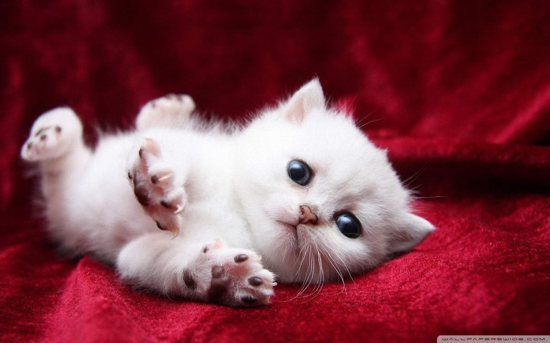 萨内爆发！黄潜关键战突围，伊朗元素成点睛之笔