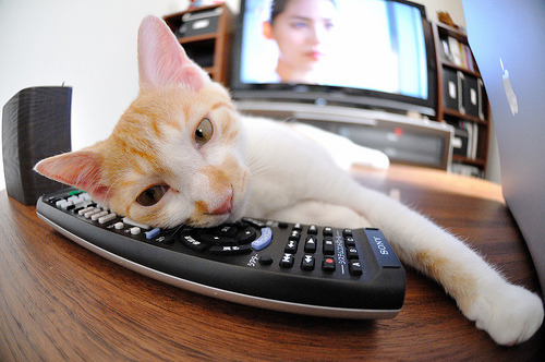 炽夜独舞,当巴林赛道成为蒂亚戈一人的燃烧舞台