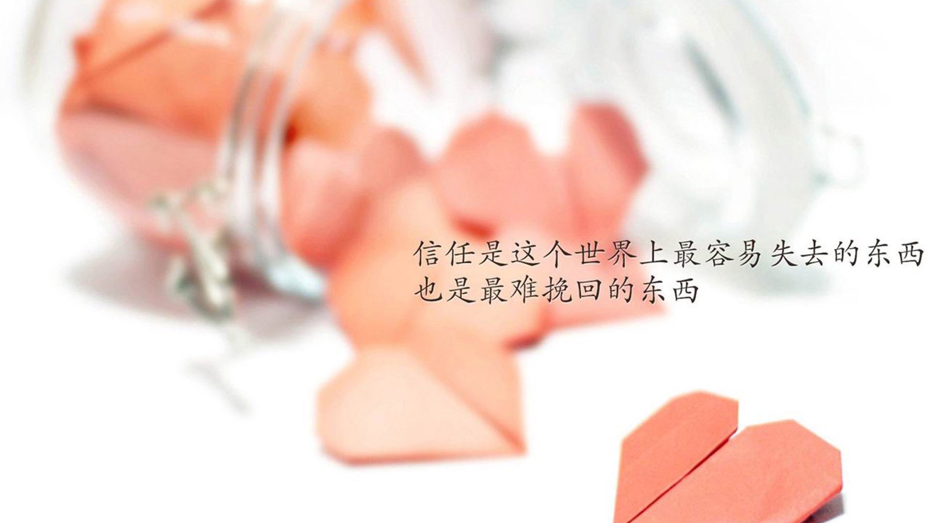 冷雨夜的唯一神迹,2026世界杯D组,塔雷米压哨绝杀,澳大利亚横扫葡萄牙的逆天改命