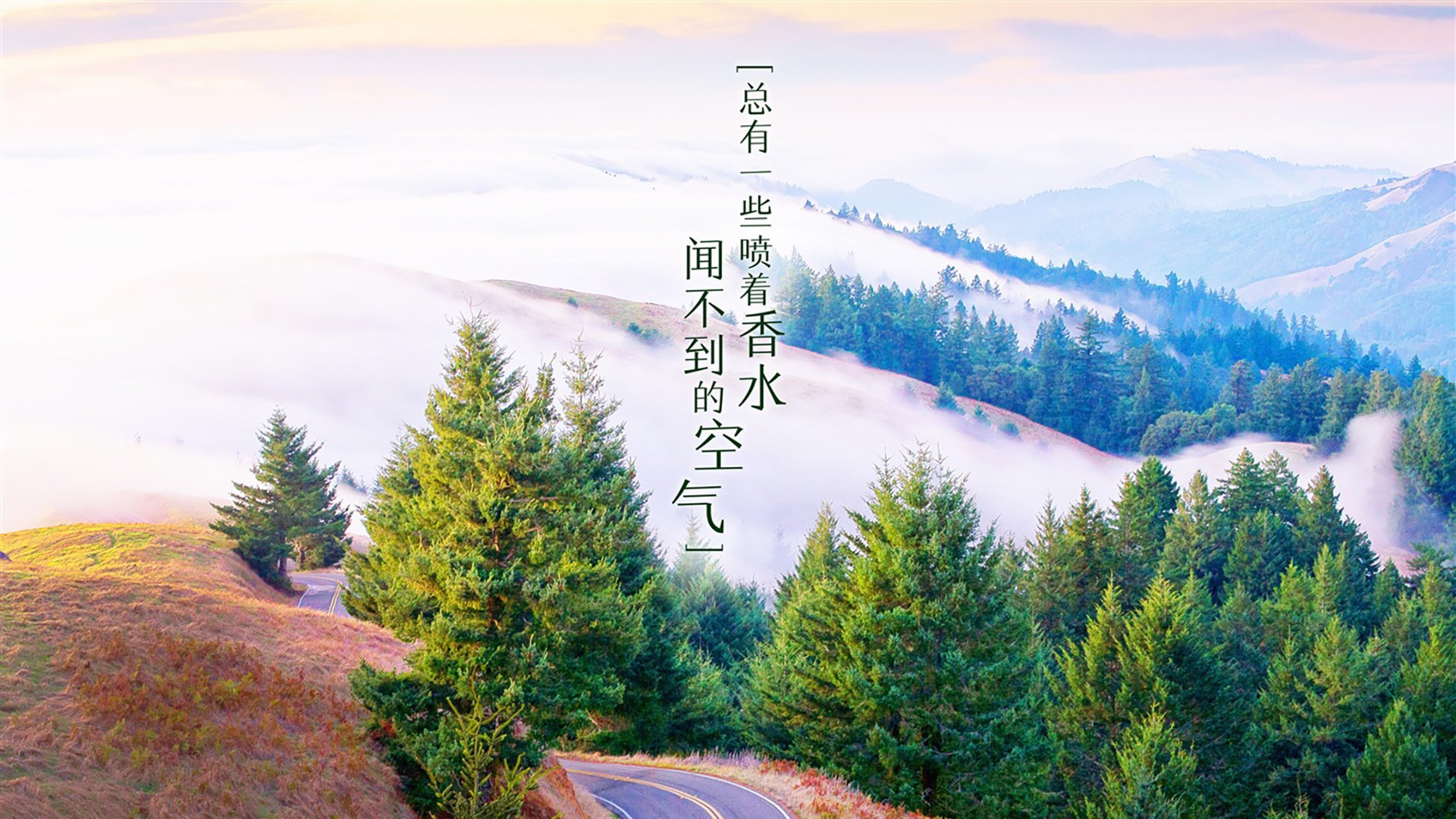 潘帕斯雄鹰的黄昏猎场,2026世界杯C组,当巨人杀手智利用内马尔之刃,为阿根廷写下最离奇的血色脚本
