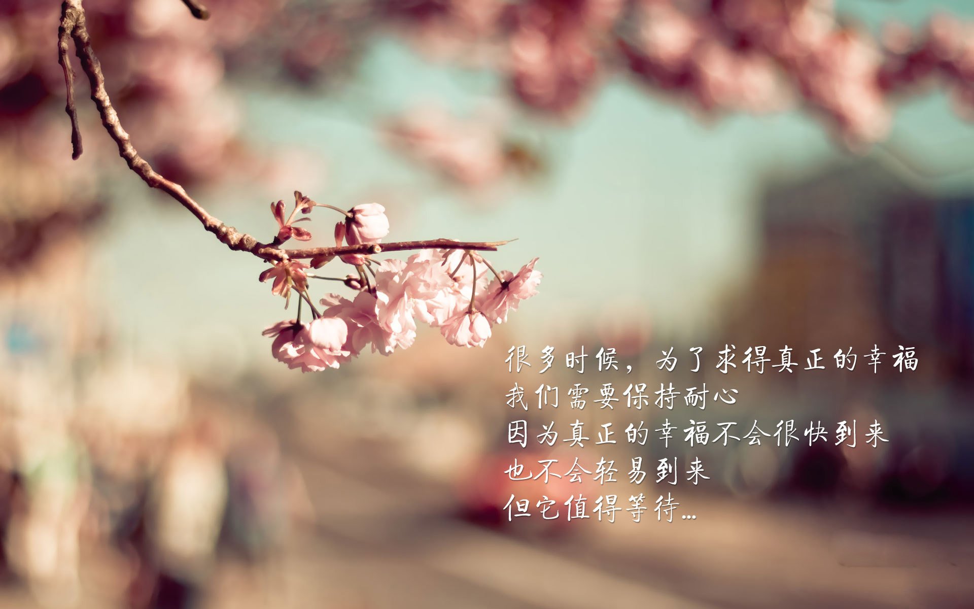 沙漠铁骑的绝命反扑，苏亚雷斯导演惊天逆转，伊朗钢铁防线埋葬智利之梦