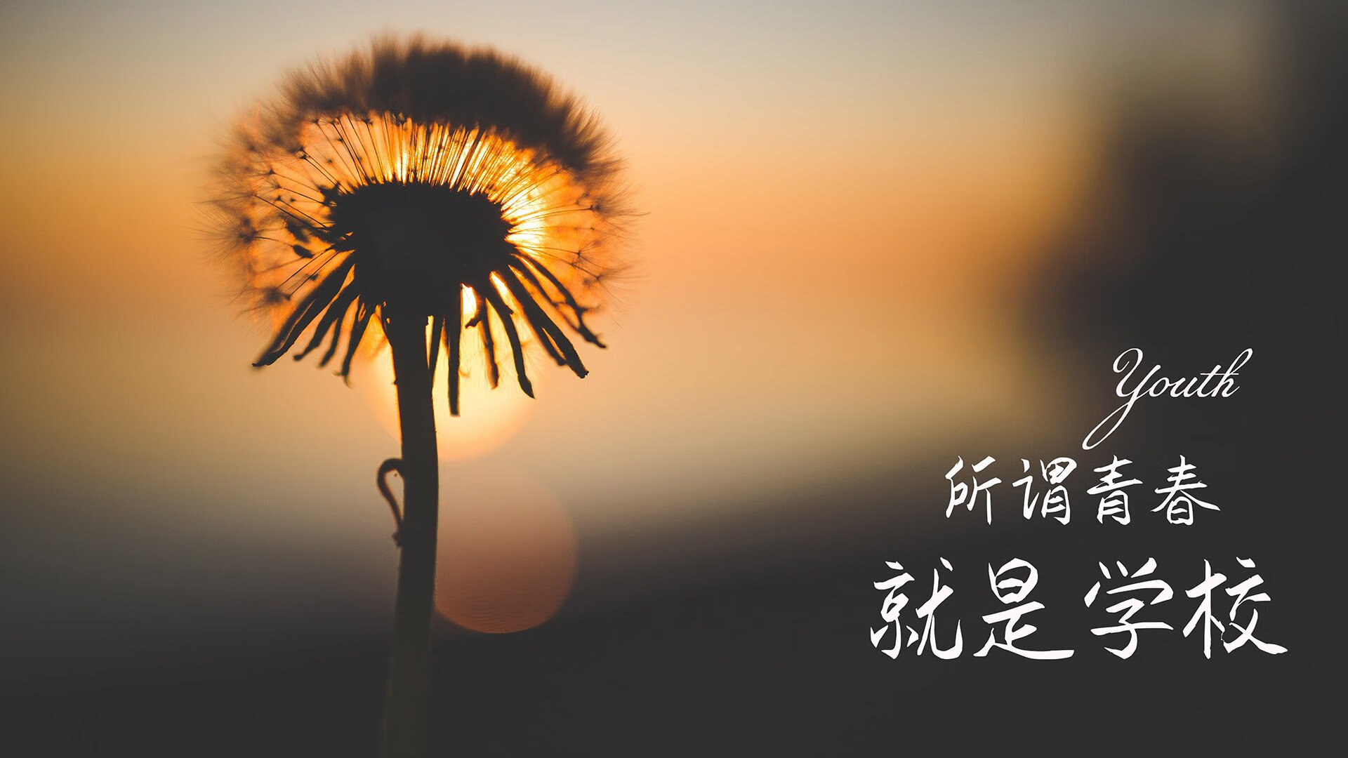 2026,破壁之匙,维尼修斯的桑巴舞步如何刺穿沙漠防线?
