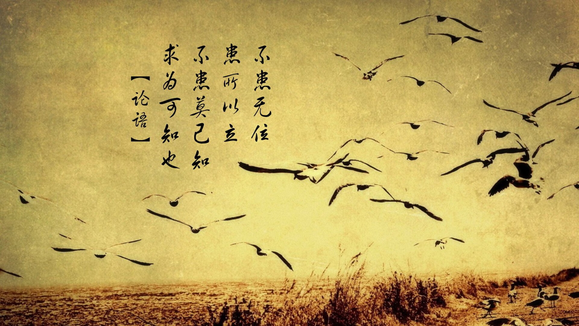 沙漠风暴,印度足球的加冕之夜,阿方索·戴维斯领衔三叉戟撕裂墨西哥防线